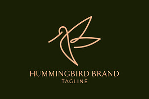 Hummingbird logo design