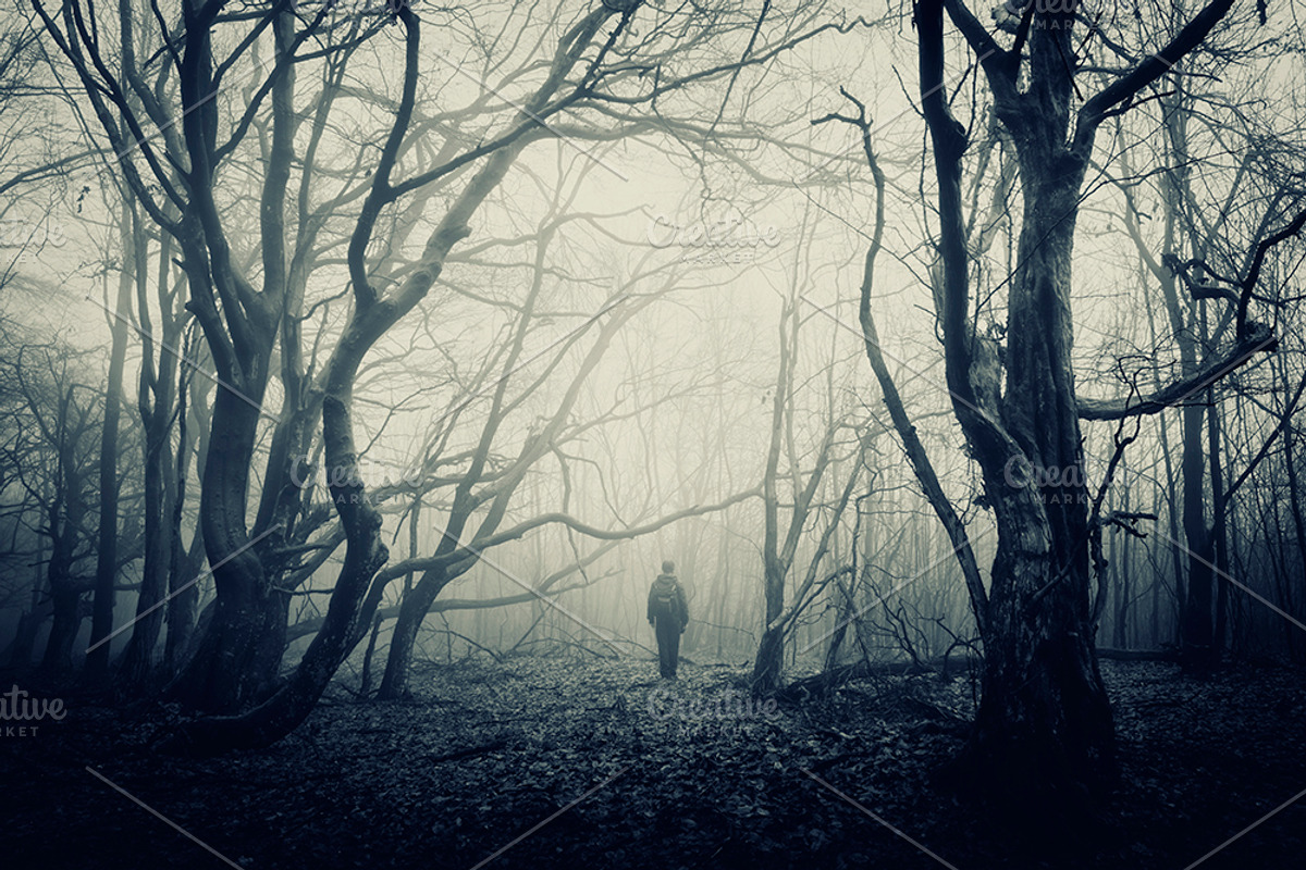 Halloween Forest pack 2018 Hi Res, a Nature Photo by Atmospheric visuals (Photo 4 of 11)