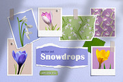 Snowdrops vector set, a Pattern Graphic by Sam2211 (Thumbnail 1 of 8)