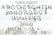 Snowtime Paradise, a Handwritten Font by FreshTypeINK (Thumbnail 8 of 8)