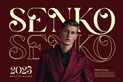Vascor || Modern Elegant Serif Font, a Serif Font by Ermedia Studio (Thumbnail 3 of 10)