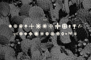 Tenquira Hand-Drawn Sans Serif, a Sans Serif Font by Hishand Studio (Thumbnail 6 of 10)