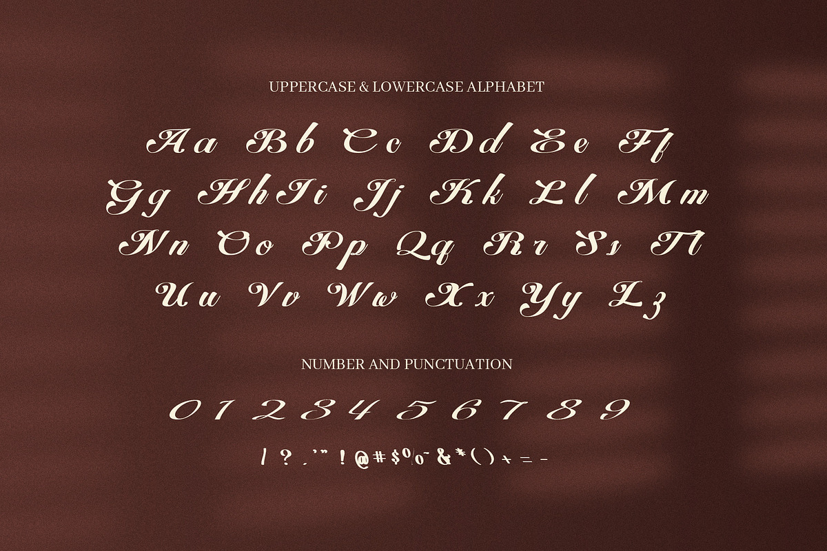 Fantyns Elegant Luxury Script Font, a Script Font by Elegant Font (Photo 6 of 8)