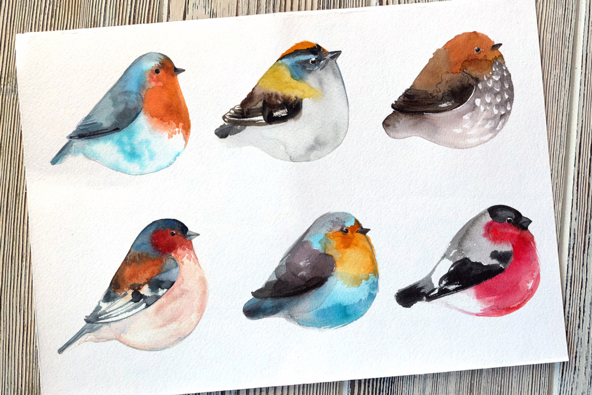 Birds watercolor, an Illustration by irina.vaneeva (Photo 2 of 3)