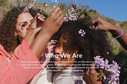 Kelysta - Modern Sans Typeface, a Sans Serif Font by Font Kingdom (Thumbnail 5 of 6)