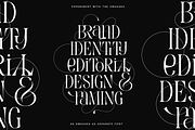 Evertype - Display Serif Font Family, a Serif Font by VP Fonts (Thumbnail 22 of 32)