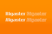 Rigaster Font, a Serif Font by IWMType (Thumbnail 6 of 6)