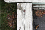 Alphabet Photography Letter T, an Architecture Photo by Artistic Letters (Thumbnail 7 of 7)