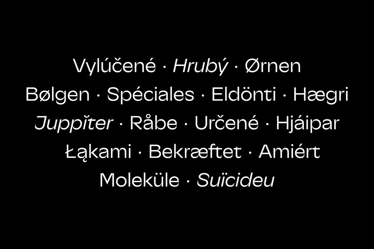 Heveria - Modern Sans Serif Family, a Sans Serif Font by Piotr Łapa (Photo 7 of 12)