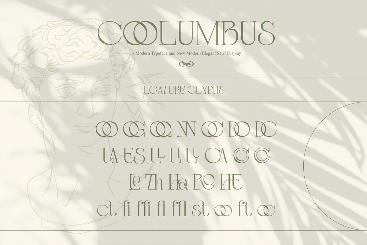 Coolumbus modern serif font, a Serif Font by Tegh co. (Photo 10 of 17)