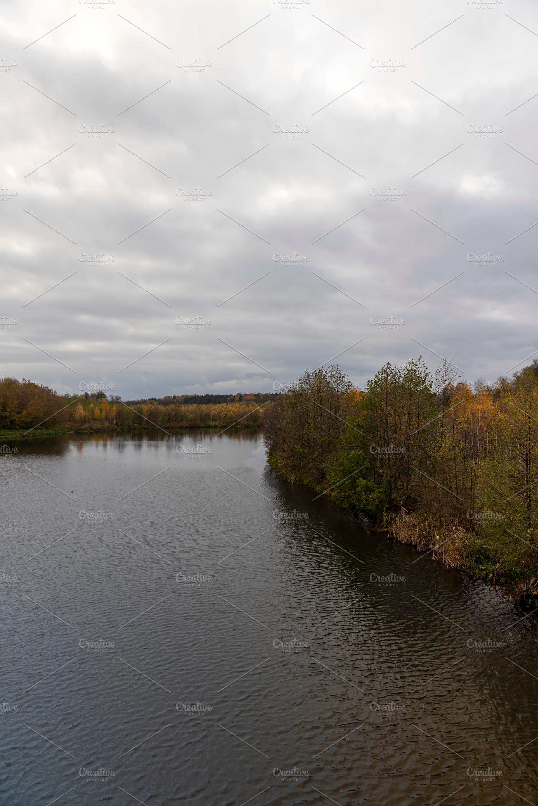 a lake and birches with yellow and orange foliage on the shore of a lake, lands, a Photo by rsoollAI