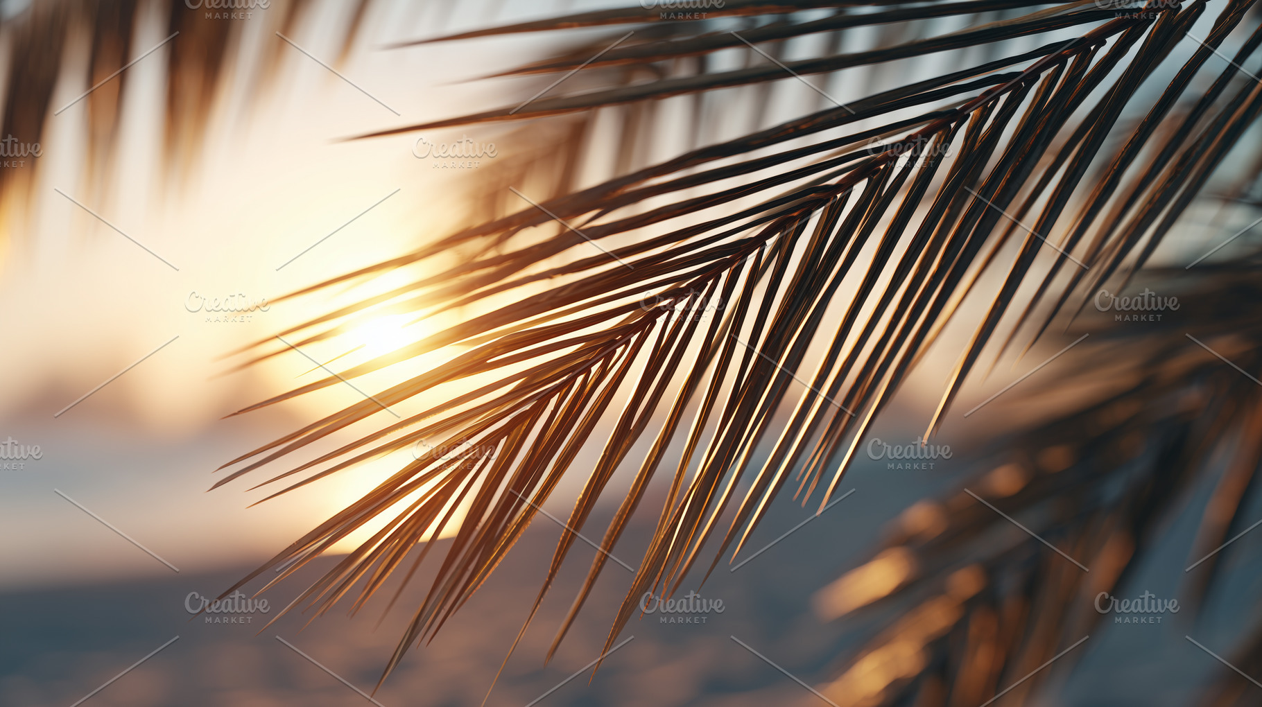Close up of palm leaves, a Nature Photo by MistyDay