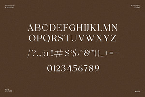 Satoru Elegant Serif Font