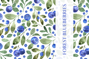 Blueberries. Watercolor Pattern, a Decorative Illustration by Liliia Polos Illustration (Thumbnail 1 of 8)