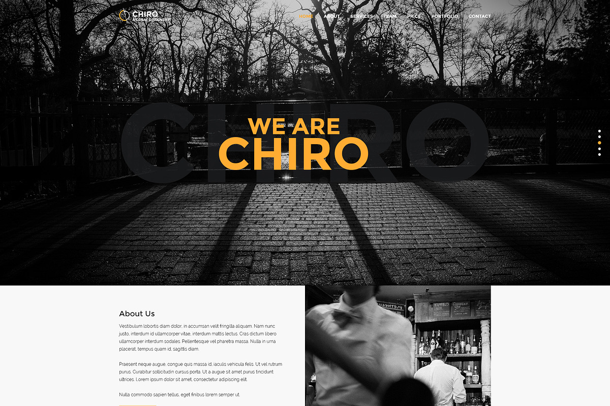 Chiro - Creative Onepage Portfolio, a Landing Page Template by FurkanBeyhan