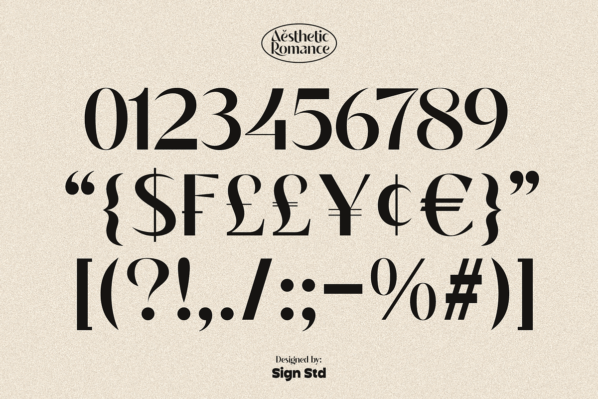 Aesthetic Romance, a Sans Serif Font by Sign Studio (Photo 16 of 16)