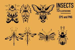 Insects. Graphic Clipart Patterns.