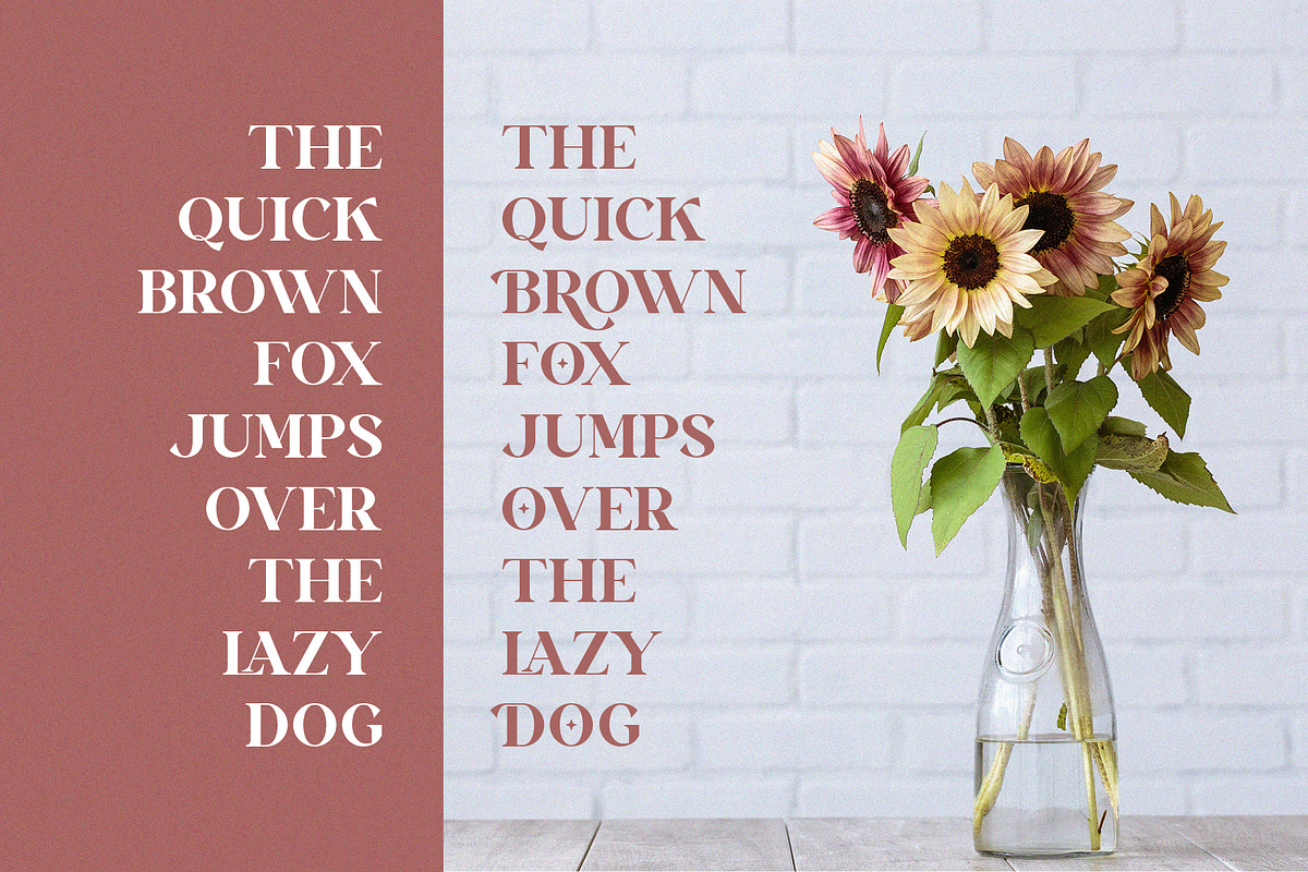 Vinaly Serif Font, a Serif Font by Idea Studio (Photo 7 of 11)