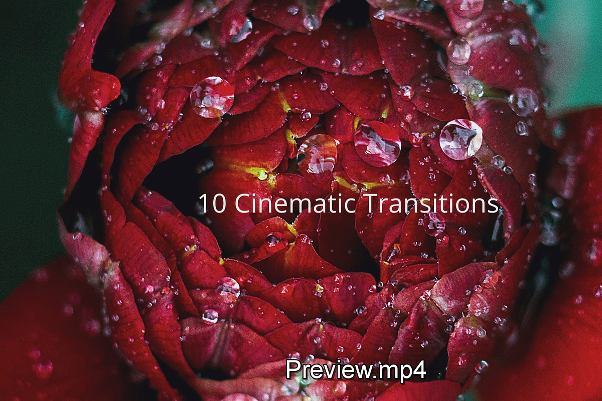 Cinematic Transitions, a Templates & Theme by mdlabdesign (Photo 1 of 2)