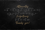 Mashiya - Monoline Script Font, a Script Font by StringLabs (Thumbnail 9 of 9)