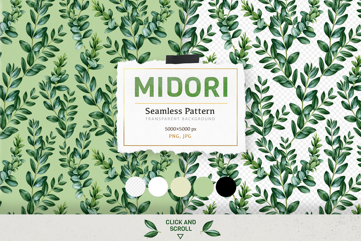 Botanical Greenery Clipart Set, a Decorative Illustration by AnitaPol (Photo 10 of 13)