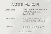 Artemis - Handwritten Serif, a Serif Font by Ellen Carty Design (Thumbnail 3 of 11)