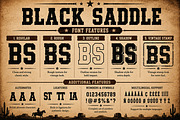 Black Saddle, a Slab Serif Font by Wow Magic (Thumbnail 4 of 7)