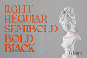Newgate, a Serif Font by FactoryType Studio (Thumbnail 4 of 10)