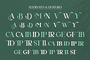 Agnista All Caps Serif Font, a Serif Font by Idea Studio (Thumbnail 11 of 12)