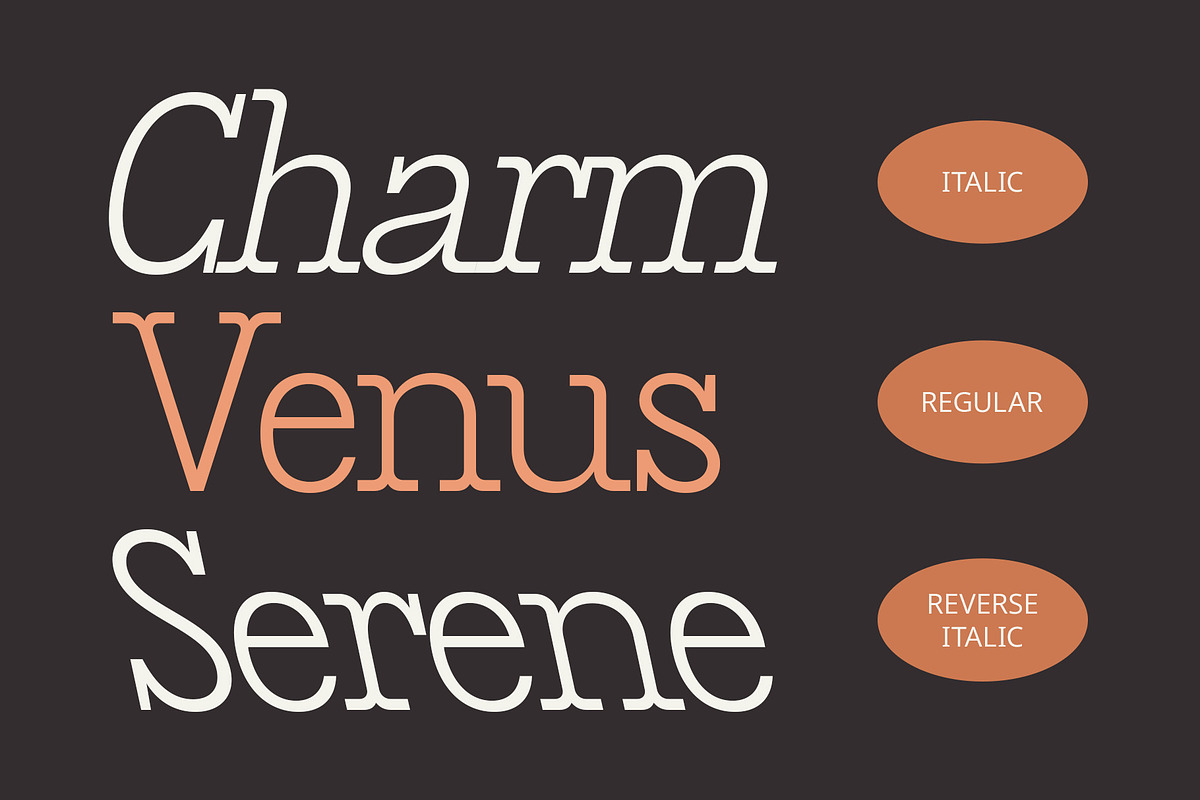 CS Gains – Classic Font, a Serif Font by Craft Supply Co. (Photo 5 of 8)