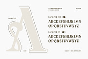 Lequito | Liquid Decorative Serif, a Serif Font by Hole Hope Design (Thumbnail 3 of 10)