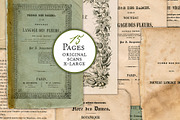 Flore des Dames Vintage French, an Illustration by French Kiss Collections (Thumbnail 9 of 16)