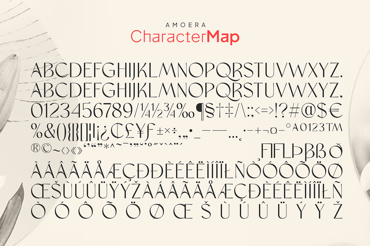 Amoera Elegant Serif Display Font, a Serif Font by Vampstudio (Photo 13 of 14)