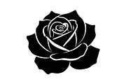 50 Black Rose Silhouette Vector Bund, an Illustration by Gaye Art (Thumbnail 3 of 51)