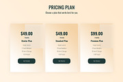 Pricing Plan, an UI Kit Template by Sujun Baidyaa (Thumbnail 3 of 3)