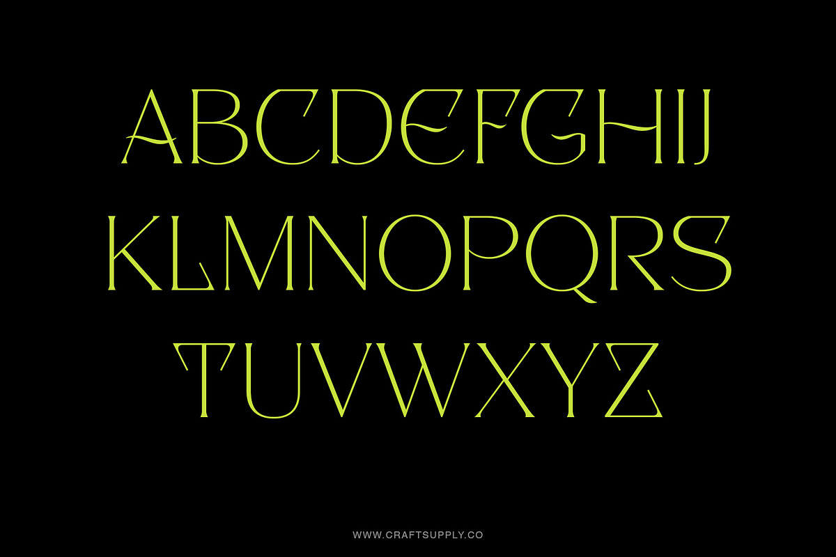 Pilated - Serif Typeface, a Serif Font by Craft Supply Co. (Photo 7 of 8)