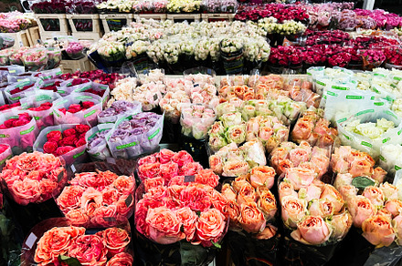Colorful assortment of freshly cut flowers displayed in a vibrant market settin, a Photo by AS photostudio