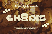 Chopis - Food Font, a Handwritten Font by Boril Std (Thumbnail 1 of 10)