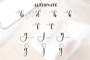 Weighing | Script Font, a Handwritten Font by Scratchones (Thumbnail 8 of 9)