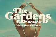 Blue Blossom - An Expressive Font, a Serif Font by Komet & Flicker (Thumbnail 3 of 15)