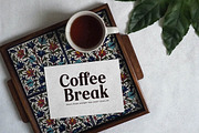 Raillinc Modern Display Serif Font, a Font by Storytype Studio (Thumbnail 10 of 19)