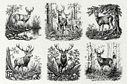 Woodland Deer Engraving Graphics, an Animal Illustration by DENIDigitalArtSudio (Thumbnail 3 of 7)