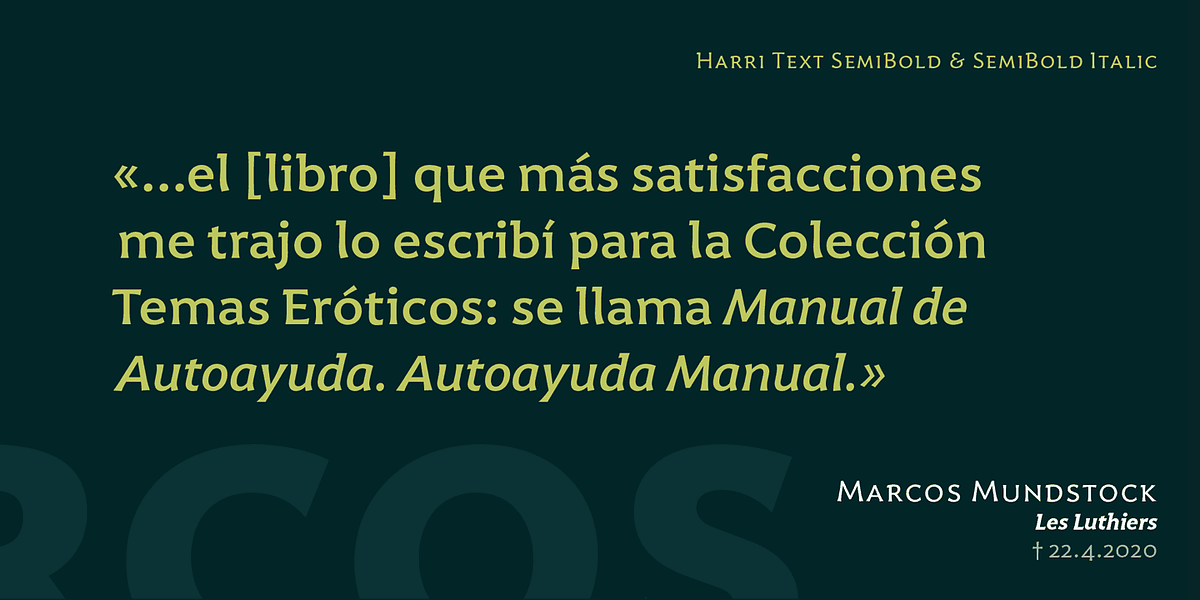 Harri Text, a Sans Serif Font by Blancoletters (Photo 9 of 14)