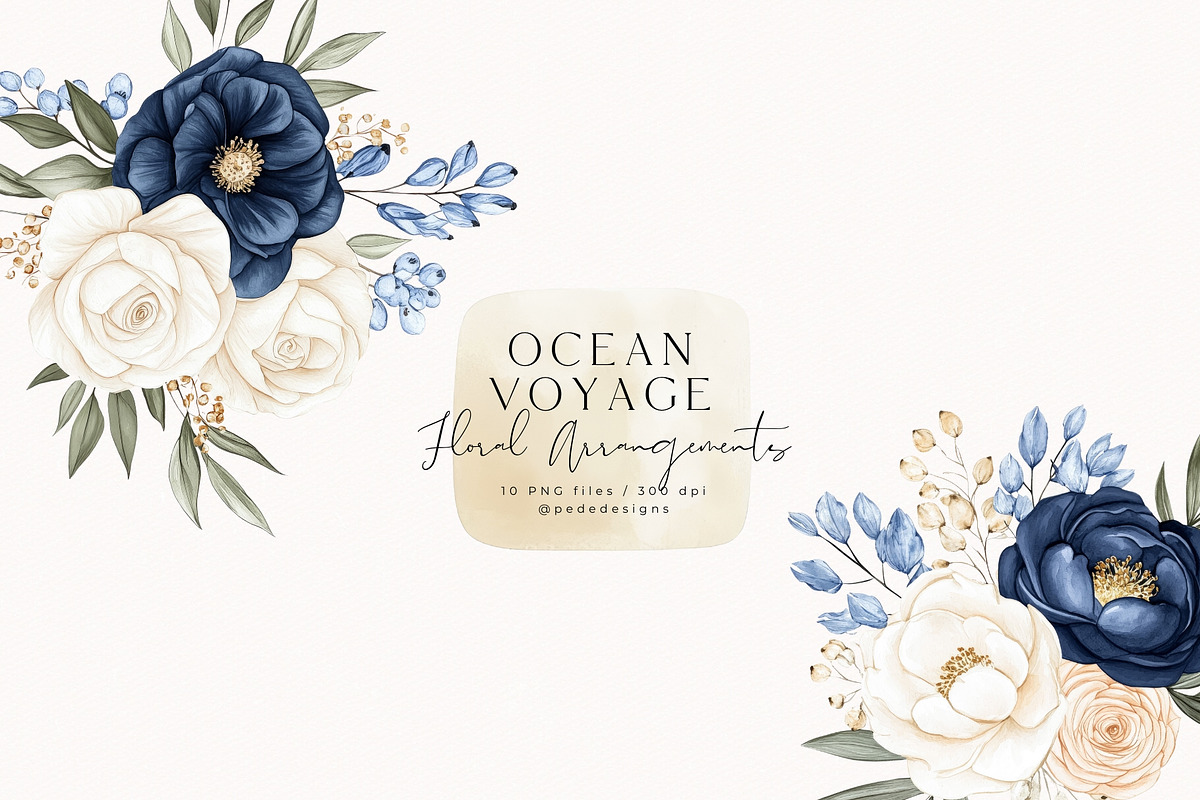 Ocean Voyage Collection, a Decorative Illustration by PeDe Designs (Photo 12 of 26)