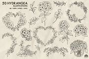 Hydrangea line art + Procreate, a Decorative Illustration by Skliarova (Thumbnail 4 of 4)