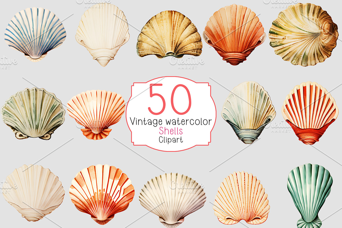 Vintage watercolor shells clipart, a Decorative Illustration by Shahjahangdb1 (Photo 2 of 2)