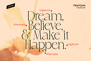 Delicate Calligraphy Elegant Serif, a Serif Font by Vampstudio (Thumbnail 13 of 14)
