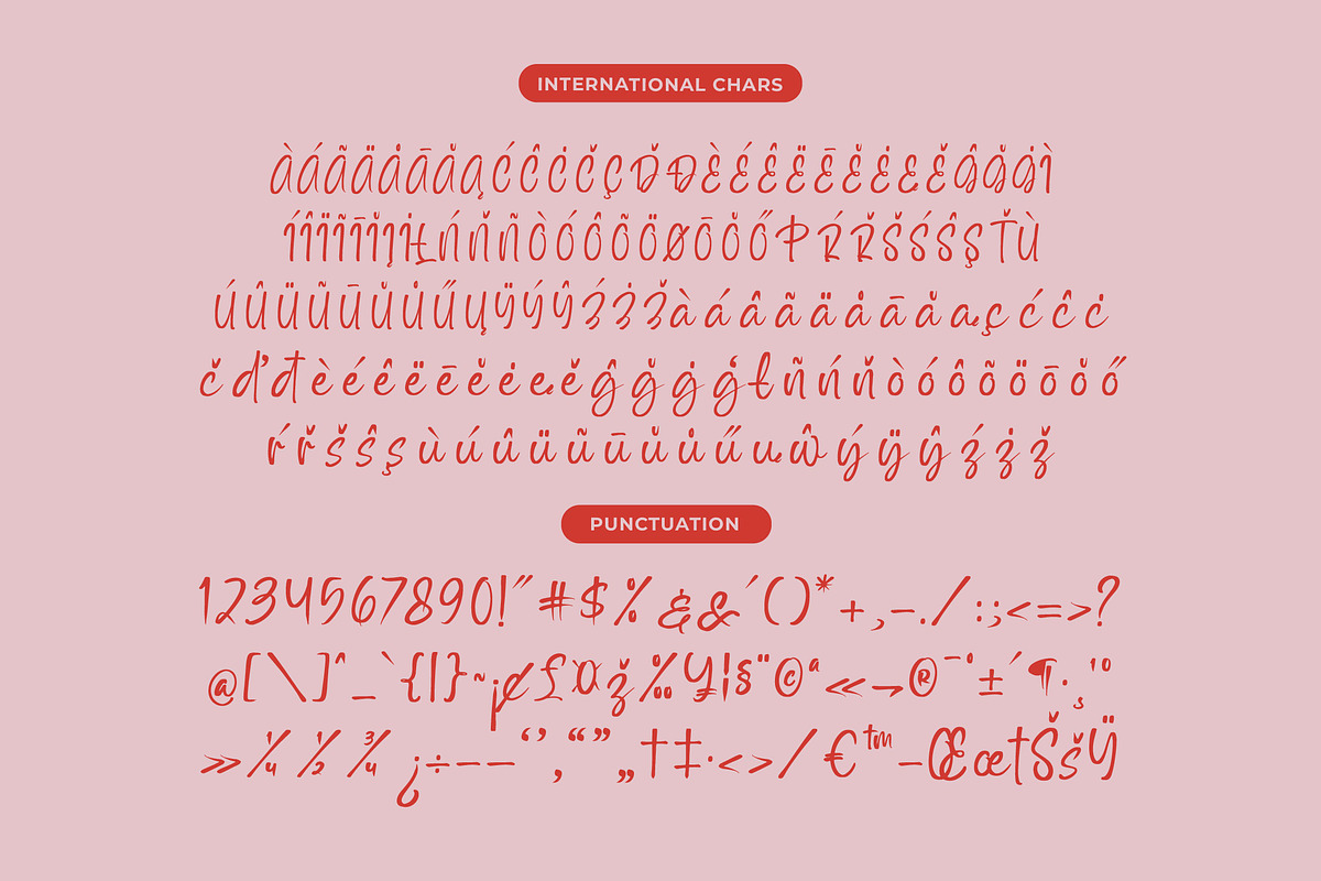 Outline Delighta Aesthetic Font, a Script Font by Letterena Studios Script (Photo 18 of 20)