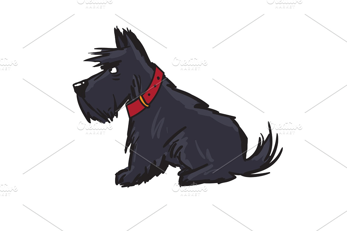 scottish terrier, an Animal Illustration by aliona..almazova