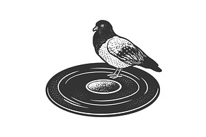 Dove On Vinyl Disc Sketch Vector